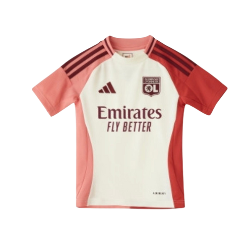 Maillot Olympique Lyonnais Third 24/25