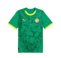 Maillot Sénégal Extérieur 2025 1