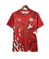 Maillot Madagascar Domicile 25/26 1