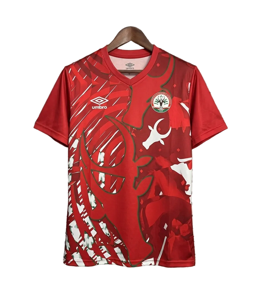 Maillot Madagascar Domicile 25/26
