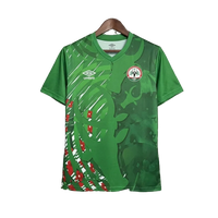 Maillot Madagascar Extérieur 25/26 1